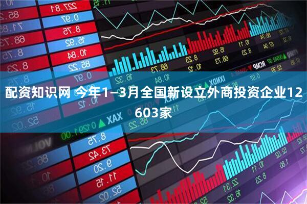 配资知识网 今年1—3月全国新设立外商投资企业12603家